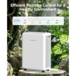 51xaceivakl. ac us800 .jpg