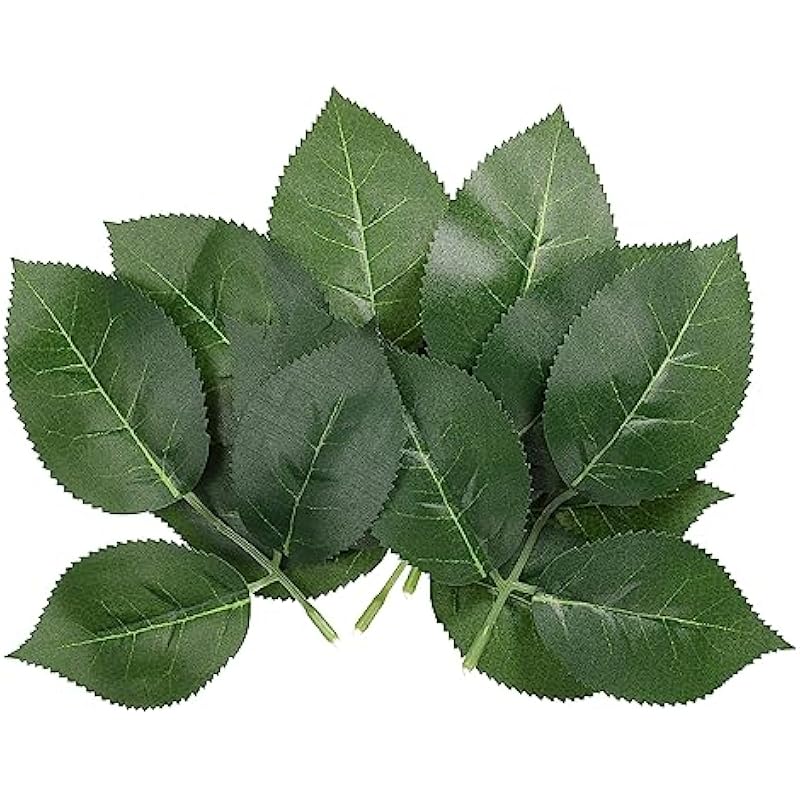 51xeo3i3ppl. ac us800 .jpg