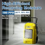 51xsju2rjsl. ac us800 .jpg