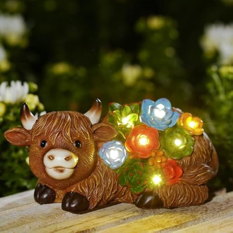 51z8gdq0ihl. ac us800 1.jpg