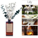 51zaxi tvl. ac us800 .jpg