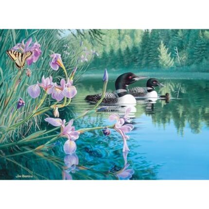 51auibmfcyl. ac us800 .jpg