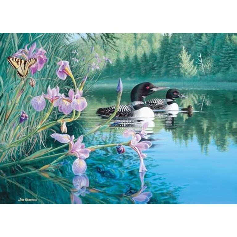 51auibmfcyl. ac us800 .jpg