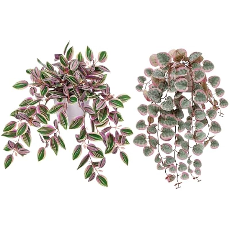 51aph8zseml. ac us800 .jpg