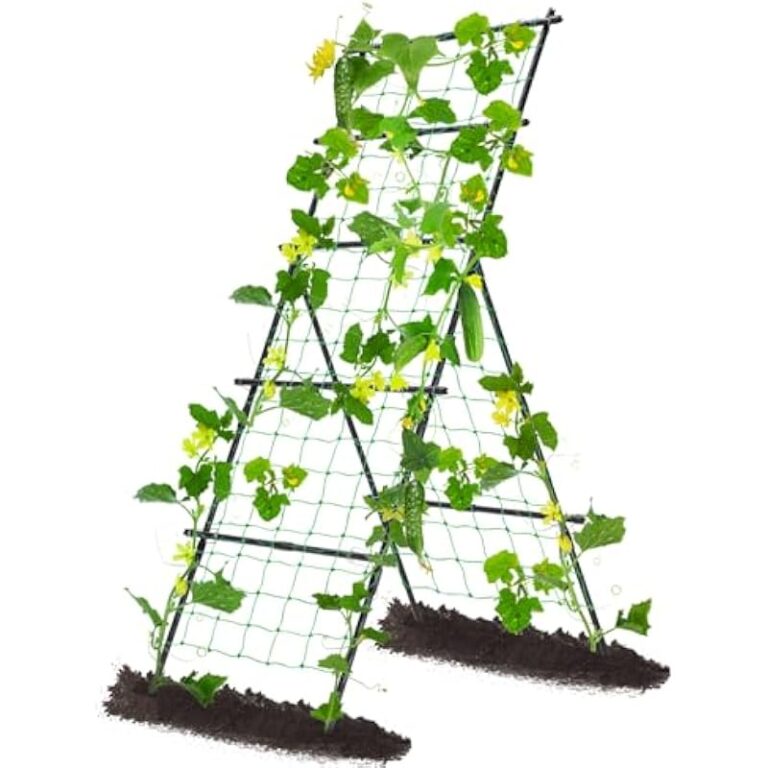 51axrsferol. ac us800 .jpg