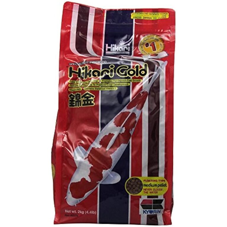 51bazi8cegl. ac us800 .jpg