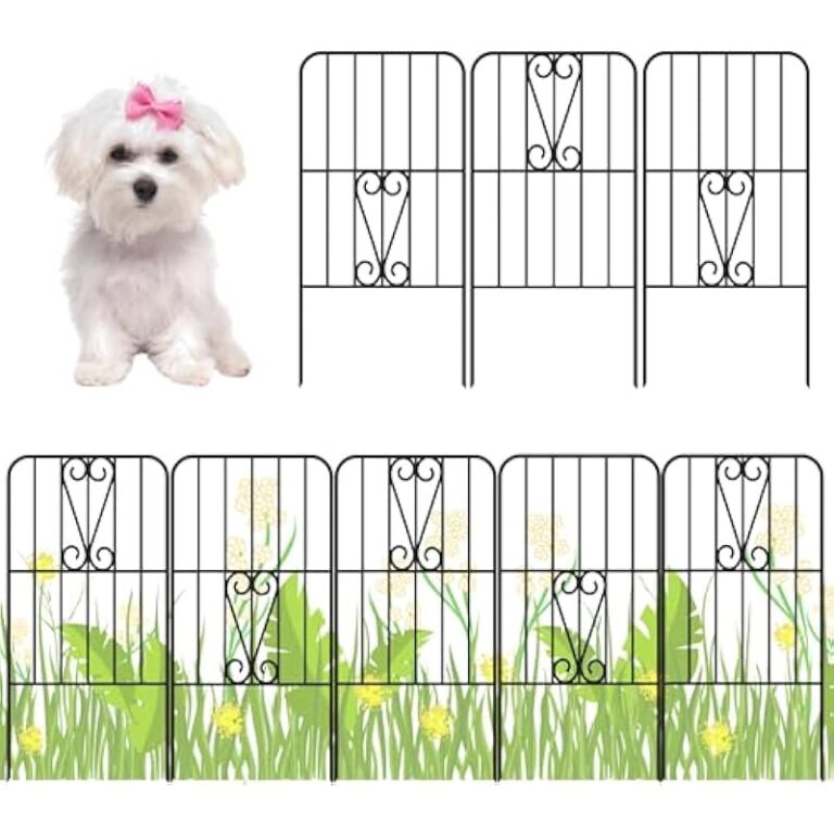 51bjxkjqbjl. ac us800 .jpg