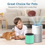 51bx6ljpy3l. ac us800 .jpg