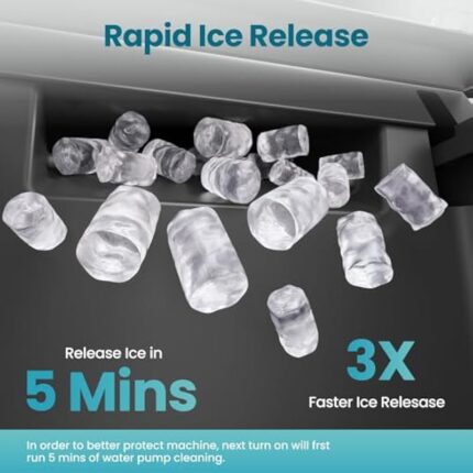 51czfzpibvl. ac us800 .jpg