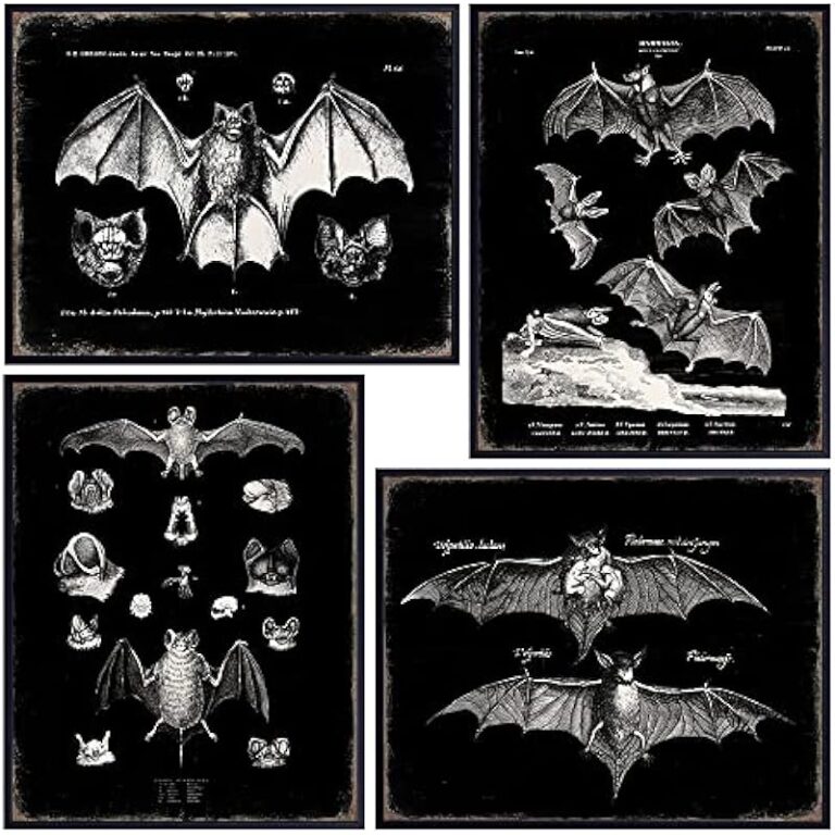 51dfk6jinbl. ac us800 .jpg