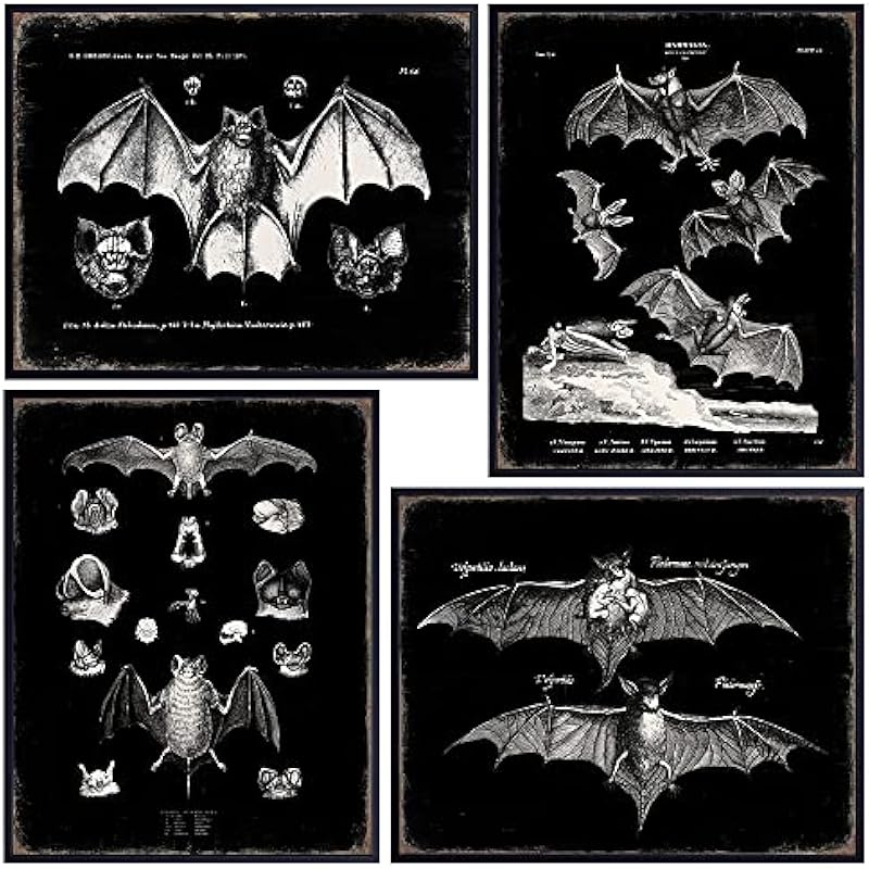 51dfk6jinbl. ac us800 .jpg