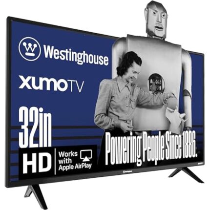 51dsv1hybrl. ac us800 .jpg