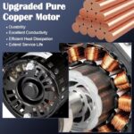 51dvy1fqtzl. ac us800 .jpg