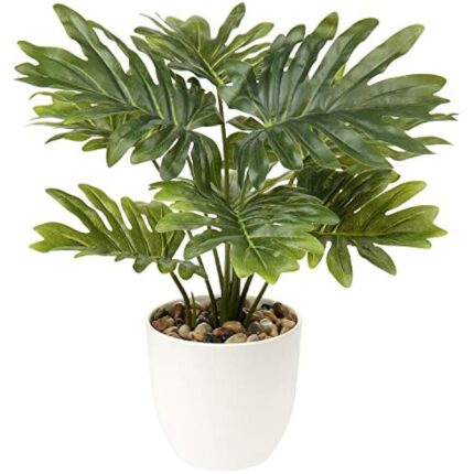 51e2fsjqdol. ac us800 .jpg