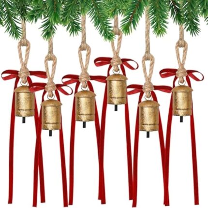 51e6jbdplol. ac us800 .jpg