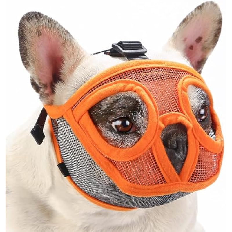 51fry4ogeyl. ac us800 .jpg