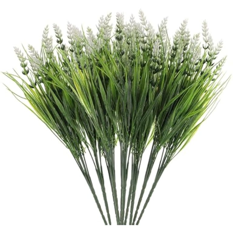 51gg62bl0jl. ac us800 .jpg