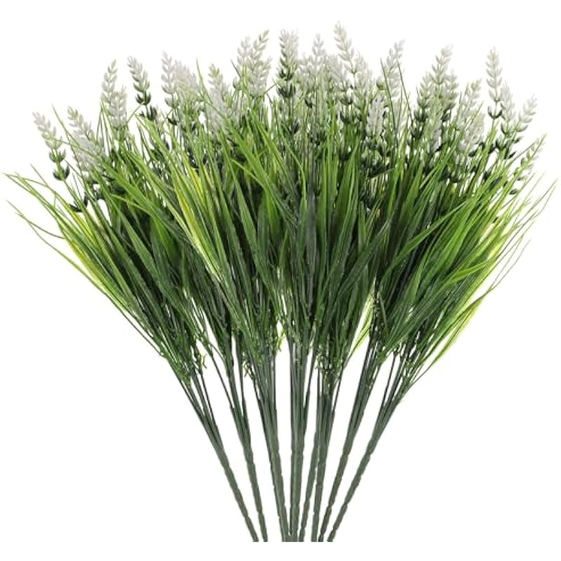 51gg62bl0jl. ac us800 .jpg