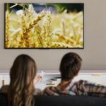 51gvfgbjxwl. ac us800 .jpg