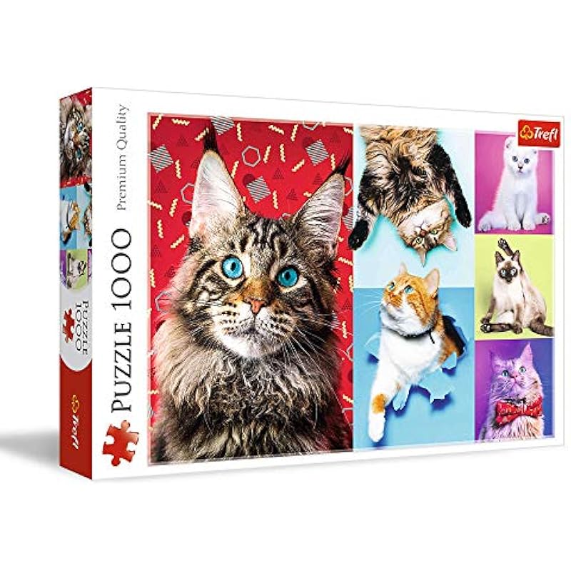 51h9klz2ykl. ac us800 .jpg