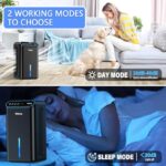 51hnayvmo8l. ac us800 .jpg