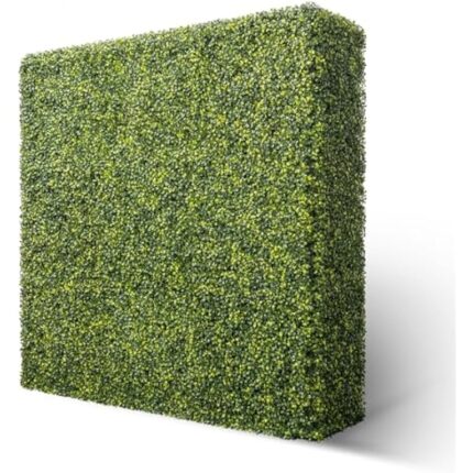 51hxjgdmgwl. ac us800 .jpg