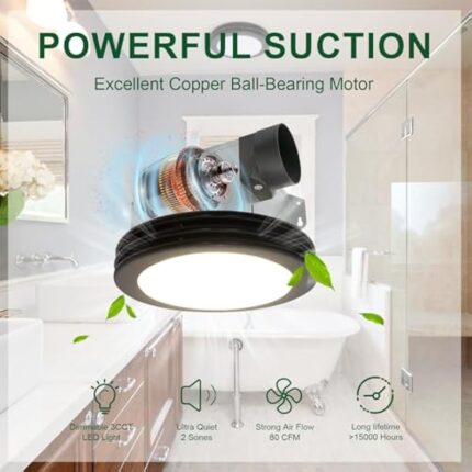 51havflx4l. ac us800 .jpg