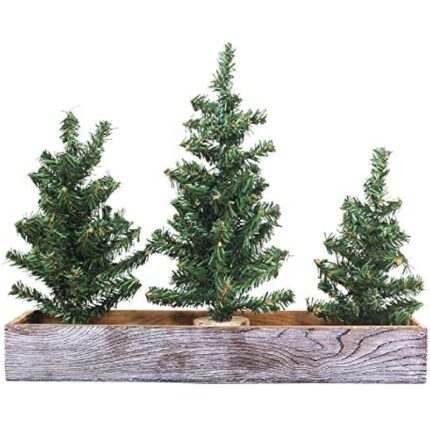 51iay1ce80l. ac us800 .jpg