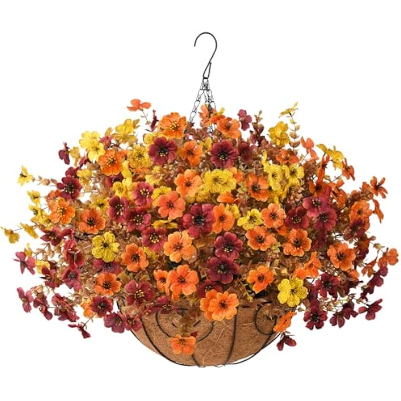 51iapPgRnUL._AC_US800_.jpg 51iappgrnul. ac us800 .jpg