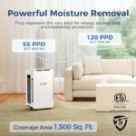 51j43s1cinl. ac us800 .jpg