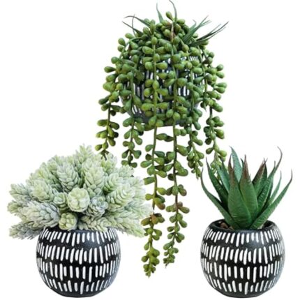 51juaqwfacl. ac us800 .jpg