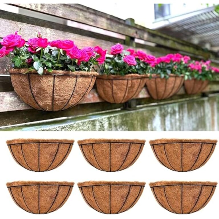 51jzazsjcyl. ac us800 .jpg