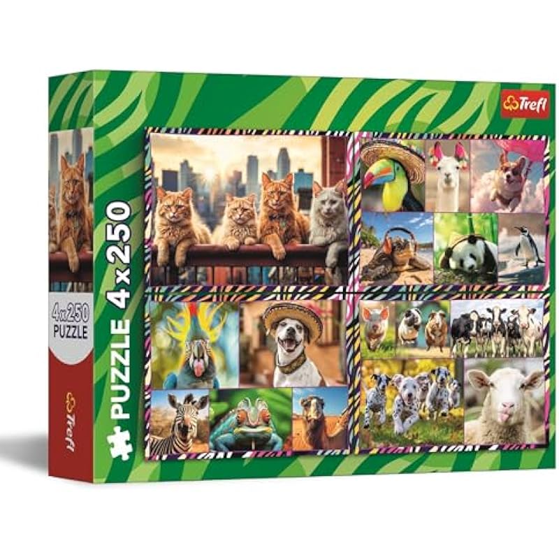 51kfiohel3l. ac us800 .jpg