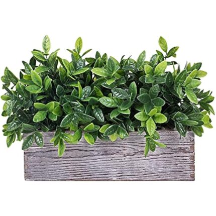 51ksuxbkbs. ac us800 .jpg