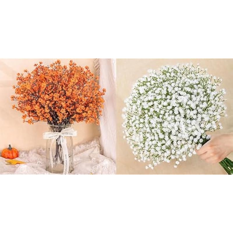 51l2bln66zl. ac us800 .jpg