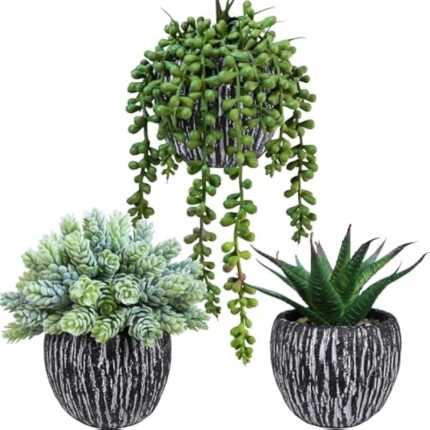 51lzfpwqrql. ac us800 .jpg