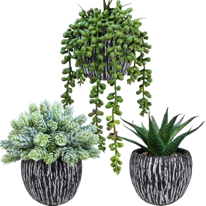 51lzfpwqrql. ac us800 .jpg