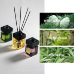 51mc5dyg8l. ac us800 .jpg