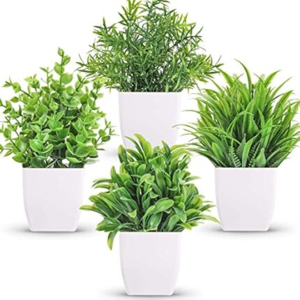 51mosotxugl. ac us800 .jpg