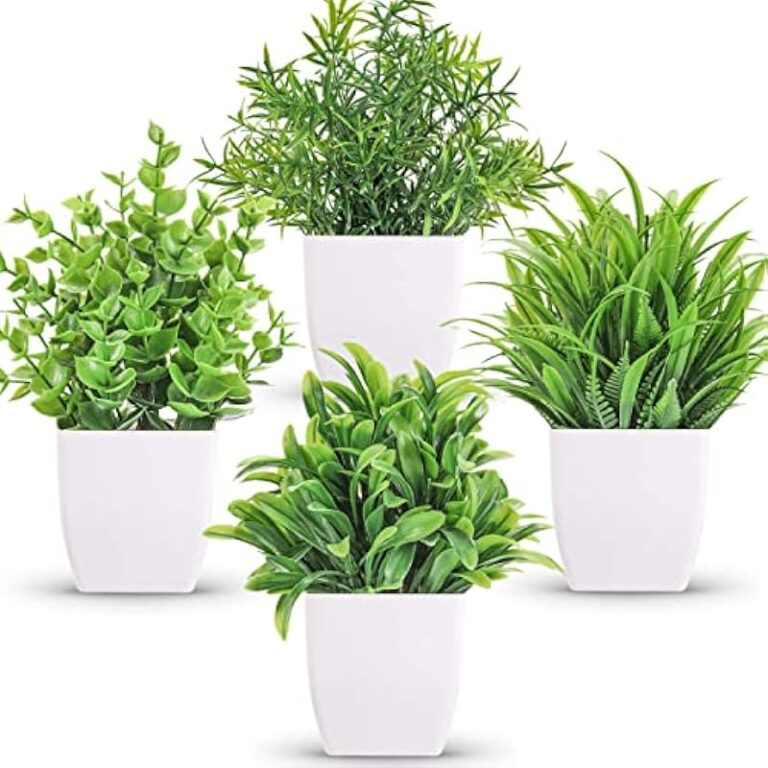 51mosotxugl. ac us800 .jpg