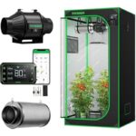 51mtyxzwndl. ac us800 .jpg