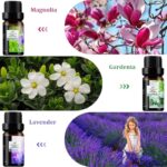 51nb5ztdr7l. ac us800 .jpg