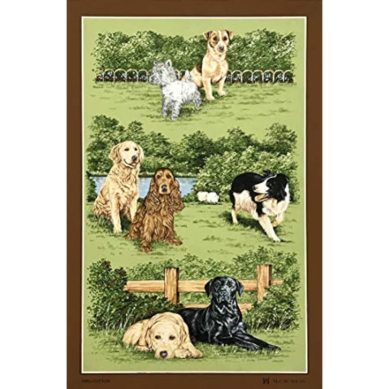 51nemkepL._AC_US800_.jpg 51nemkepl. ac us800 .jpg