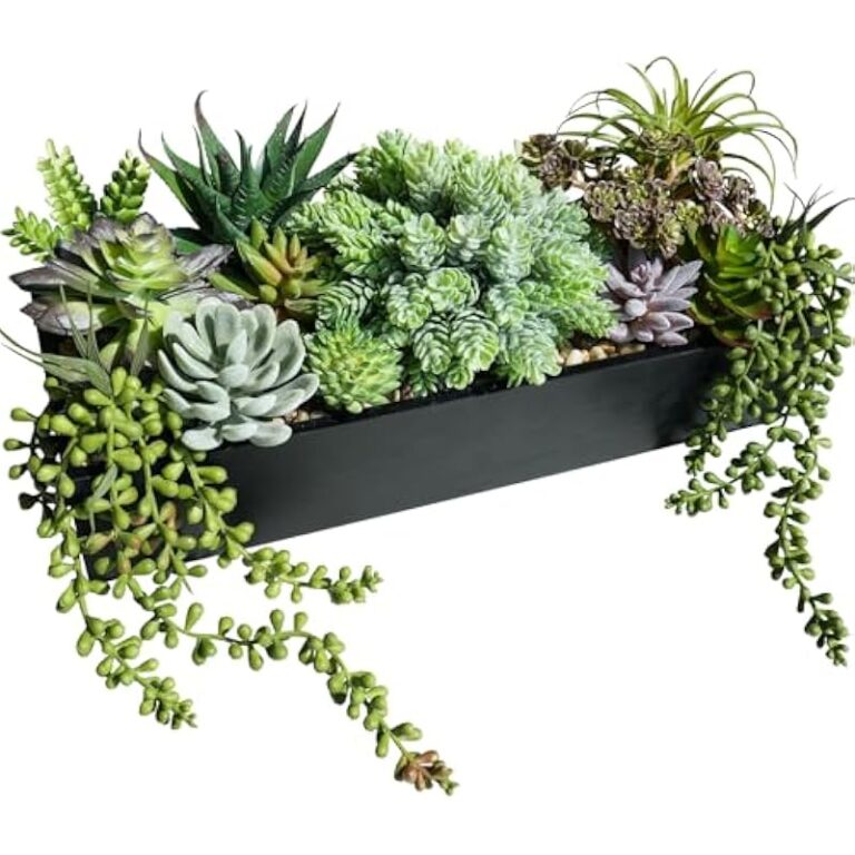 51nzwvafksl. ac us800 .jpg