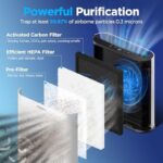 51o9b7hpe7l. ac us800 .jpg