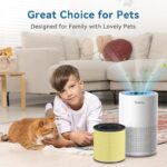 51ofwpj7f l. ac us800 .jpg