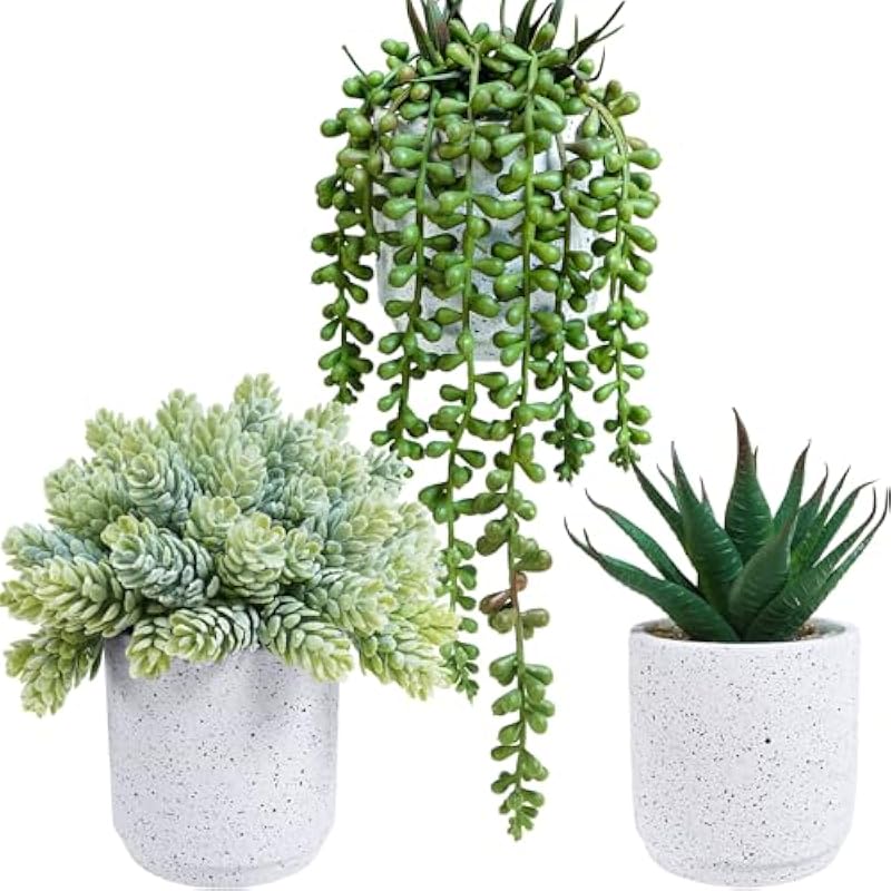 51ofyidiwnl. ac us800 .jpg