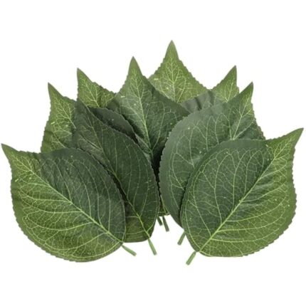 51pvsfvdmal. ac us800 .jpg