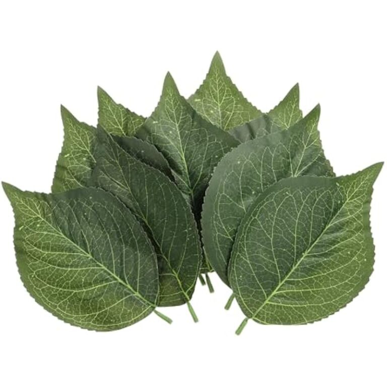 51pvsfvdmal. ac us800 .jpg