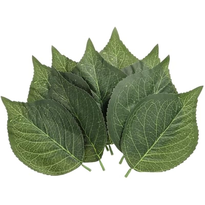 51pvsfvdmal. ac us800 .jpg